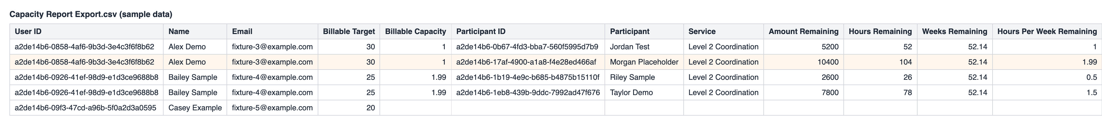 Sample rows from a Capacity Report Export CSV, with one row per Service and repeated team member columns